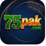 75Pak Game Download
